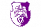 Логотип ФК «Арджеш» (Питешти)