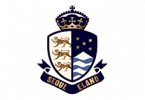Логотип ФК «Сеул И-Лэнд» (Сеул)