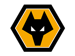 ⚽ Эмблема ФК «Вулверхэмптон Уондерерс»: значение логотипа Wolverhampton